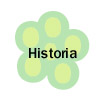 Läs om kolonirörelsens historia, pestgravarna eller områdets historia.